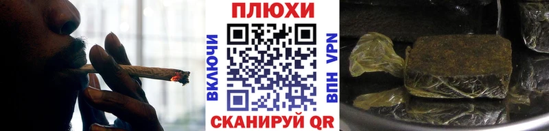 наркотики  Задонск  Гашиш индика сатива 