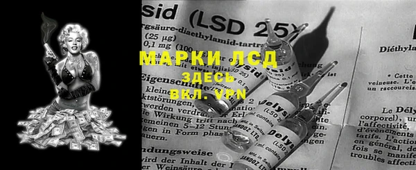 PSILOCYBIN Бугульма